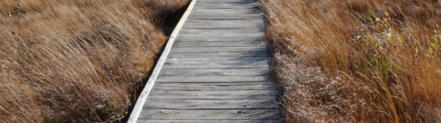 Hornisgrinde